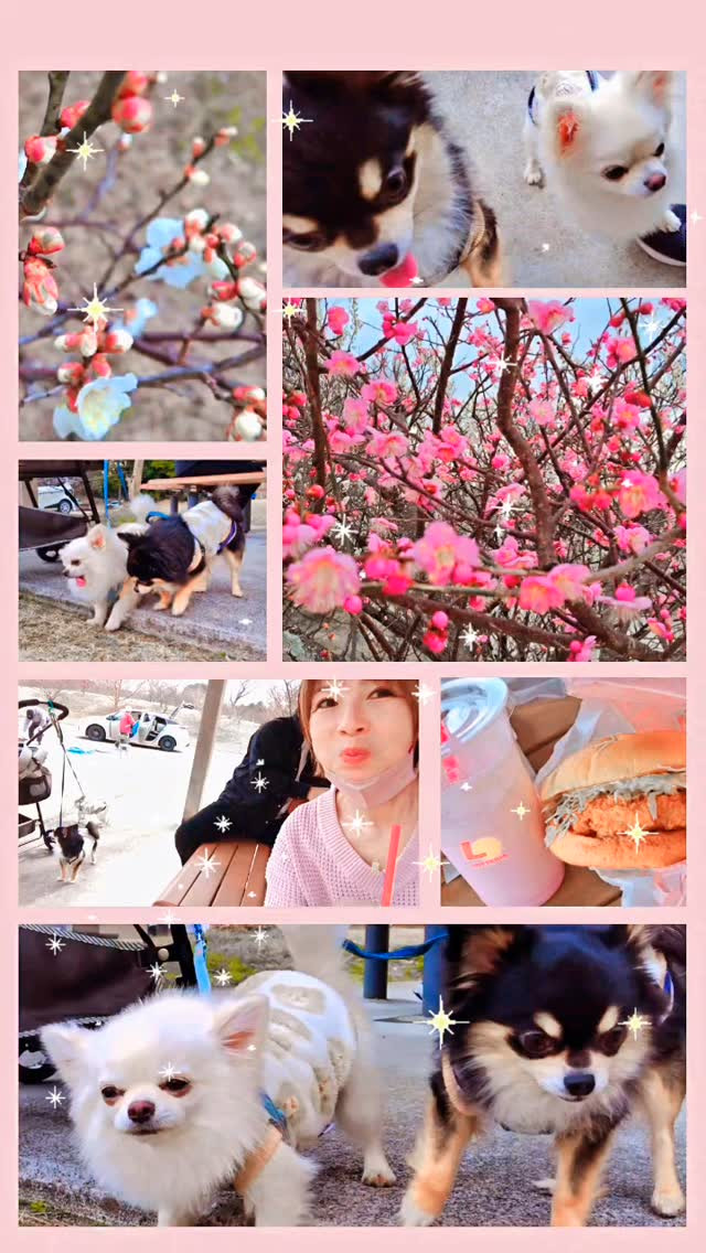 午前中施設に行き様子を伺いました😊