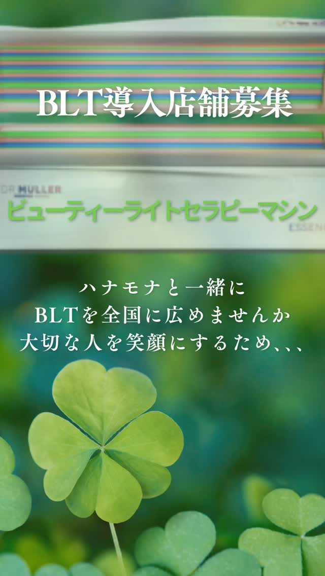 BLTのグリーンライトはかなり優秀です✨